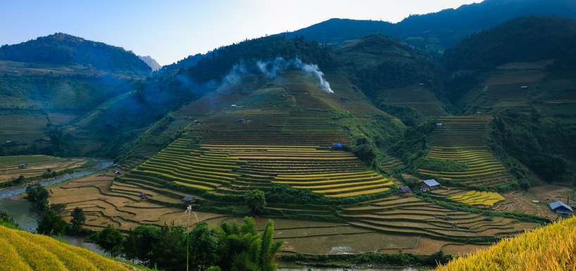 Terraced fields